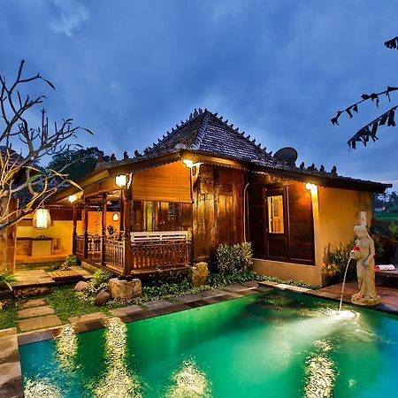 Villa Nini Убуд Номер фото