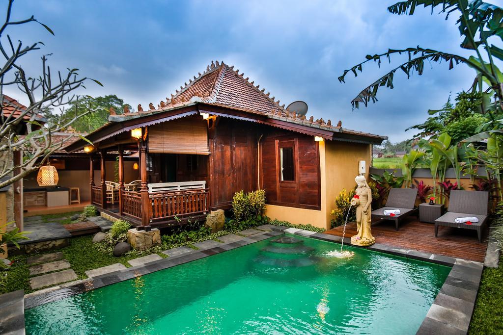 Villa Nini Убуд Номер фото
